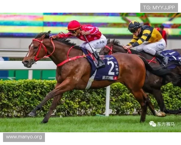 hkjc体育:香港赛马会体育平台的优势与特色,提升用户体验的实用建议